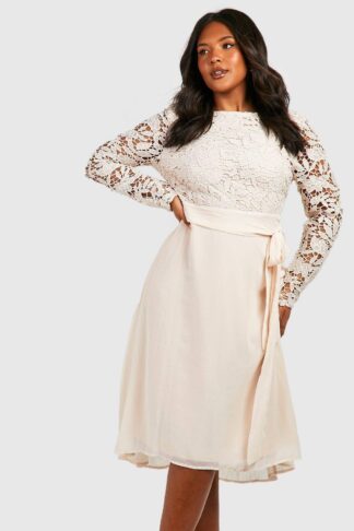 Womens Plus Occasion Lace Contrast Midi Dress - White - 24, White